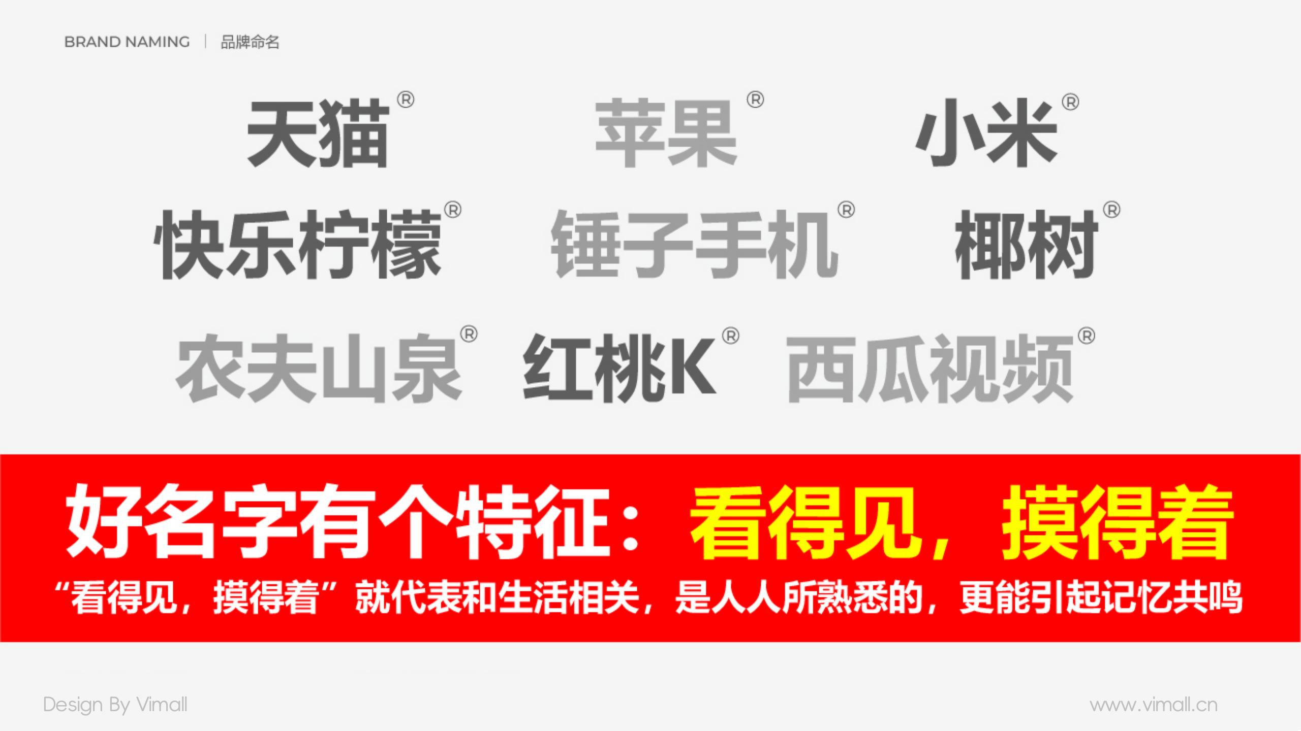 男士護(hù)膚品牌全案策劃設(shè)計(jì)-營養(yǎng)品包裝設(shè)計(jì)-西柚公式